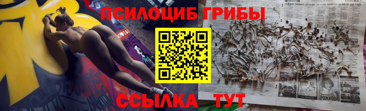Псилоцибиновые грибы Magic Shrooms Гулькевичи