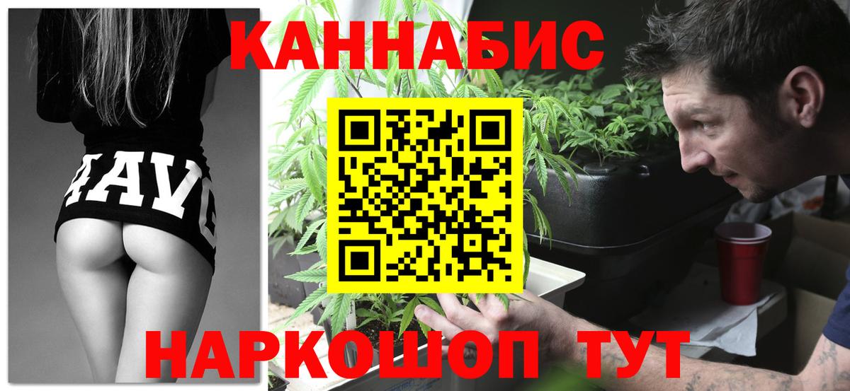 Канабис OG Kush Гулькевичи